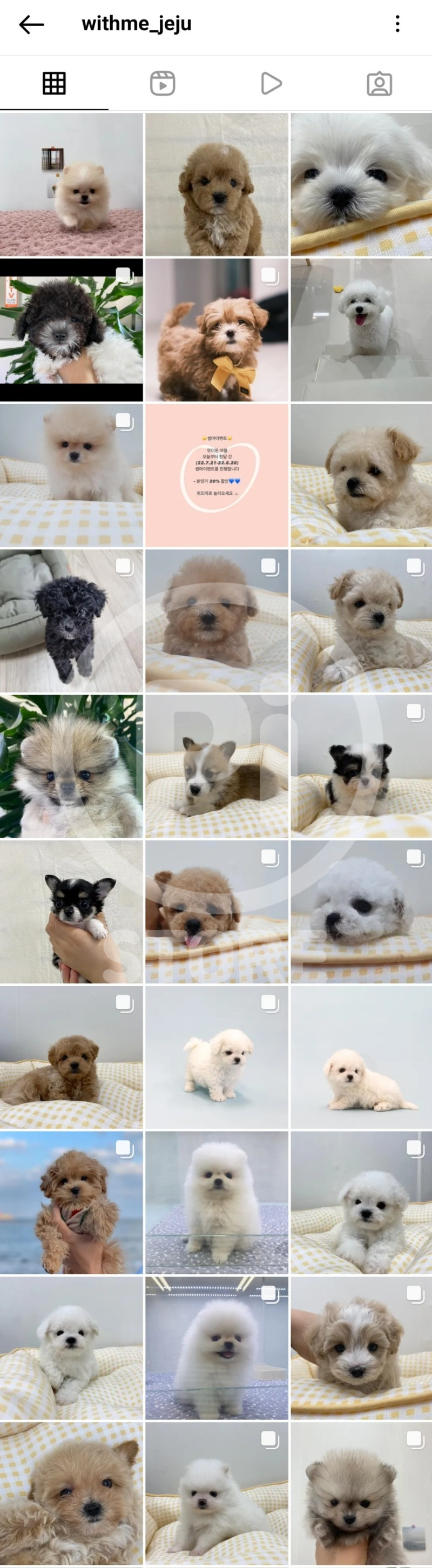 Screenshot＿20220810－164436＿Instagram.jpg